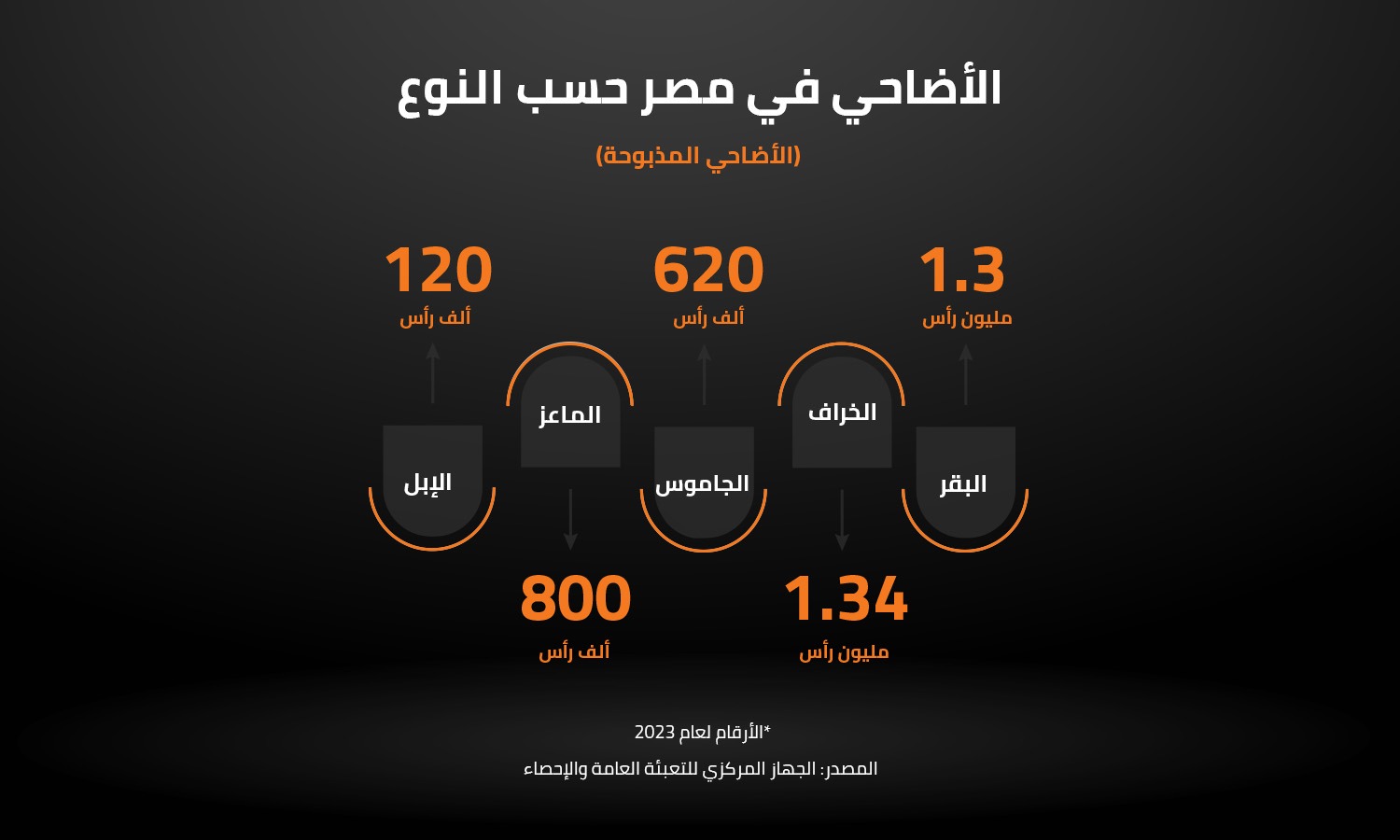  أنواع الأضاحي (الحيوانات) في مصر   